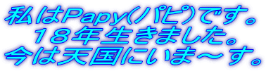 ����Papy(�p�s)�ł��B
�@�P�W�N�����܂����B
���͓V���ɂ��܁`���B