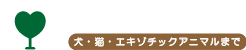 尾関動物病院 - 岐阜県岐阜市で犬・猫・鳥・エキゾチックアニマルの診療を行っている動物病院です