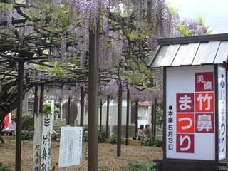 竹鼻藤まつり
