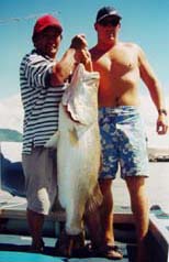 バラ120cm