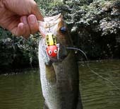 �ڰ�ް�۰װ�@8KB