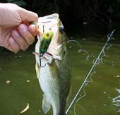 �g�[�s�[�h�@7KB