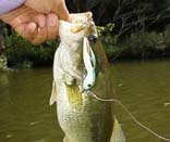 �X���u�R�o�O�@6KB