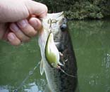 �x�r�[�P�}�C�i�X�@�TKB