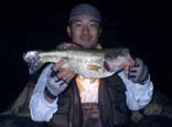 oX43cm@4KB