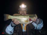 oX46cm@4KB