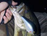 oX41cm@4KB