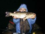 iCg47cm@5KB