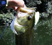 ���o�X50cm�@10KB