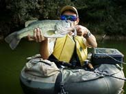 ���_�h��52cm�@8KB