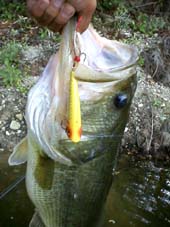 oX56cm@11KB