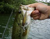 �}�[�Q�C�@7KB