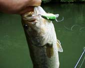 ���f���`�@5KB