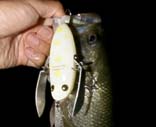 Nbp[&35cm@4KB
