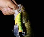 �f�J�_���X�g�[�C�ƃo�X�@4KB