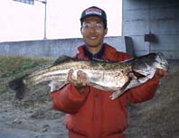 �_�[�r�[�D���@15KB