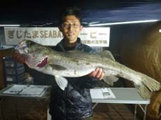 ぎじたまダービー優勝者 85cm 8KB