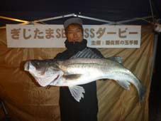 ぎじたまダービー優勝者 78.5cm 7KB