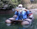 whpV49cm
