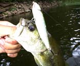 WCAghbOw27cm@6KB