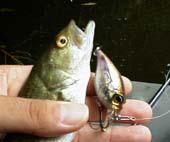 �O���t�H���@6KB