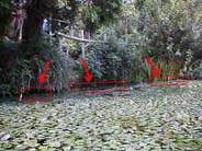 �q�V���̃|�C���g�@11KB