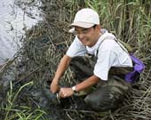 ���C�M���Ƒ��_�h�@9KB