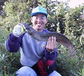 ���_�r�@11KB