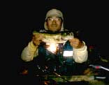 Nbp[39cm@4KB
