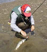 �j�S�C�@11KB