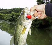 �s�J�\�t�B�[�@7KB