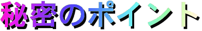 秘密のポイント