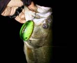 bgA^bg44cm@4KB