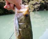 RS-150��38cm 5KB