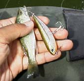 ���o�X9cm�@7KB