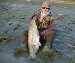 \EM113cm@5KB