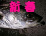 XYL82cm@5KB