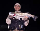 T.M&65cm@4KB